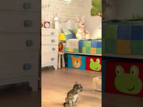 Preschool kindergarten learning Cartoon #kitten - Популярные видеоролики!