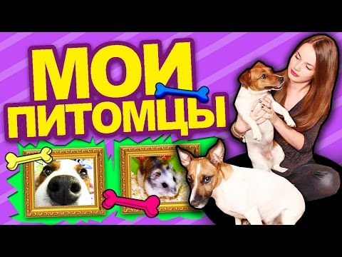 ♥ МОИ ПИТОМЦЫ ♥ Собачки, Пони, Хомячки и Я :D - Популярные видеоролики!
