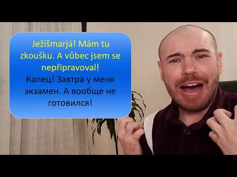 Čeština pro každý den 1 - полезные фразы на чешском - Популярные видеоролики!
