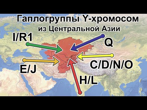 Гаплогруппы Y-ДНК из Центральной Азии. Филогения Y-хромосом в свете новых данных - Популярные видеоролики!
