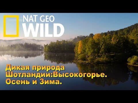 Nat Geo Wild: Дикая природа Шотландии: Высокогорье. Осень и зима/ Wild Scotland - Популярные видеоролики!
