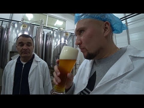 Как варят пиво?  Попали на пивоварню - Популярные видеоролики!