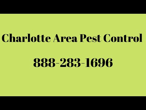 Pest Control Charlotte NC - Популярные видеоролики!