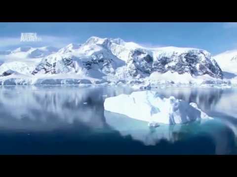 Антарктида  Дикая природа  В мире льда  Документальный фильм - Популярные видеоролики!