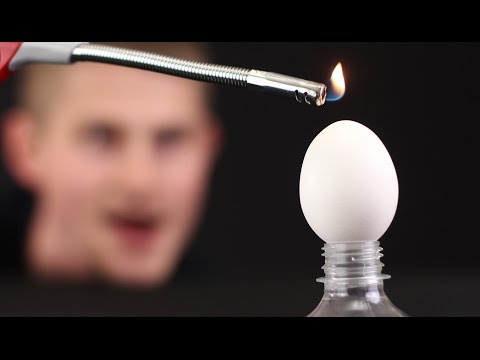 Top 10 Egg tricks and science experiments from mr. hacker - Популярные видеоролики!