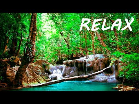 Relaxing Music and Soothing Water Sounds 🔴Sleep 24/7 BGM Relaxation - Популярные видеоролики!