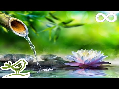 Soothing Relaxation: Relaxing Piano Music, Sleep Music, Water Sounds, Relaxing Music, Meditation - Популярные видеоролики!