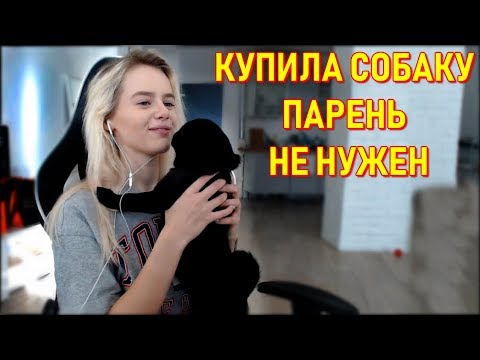GTFOBAE | Купила Собаку - Парень Не Нужен - Популярные видеоролики!