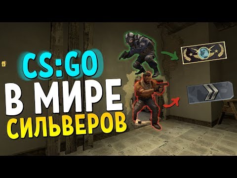В МИРЕ СИЛЬВЕРОВ #26 | CS:GO - Популярные видеоролики!