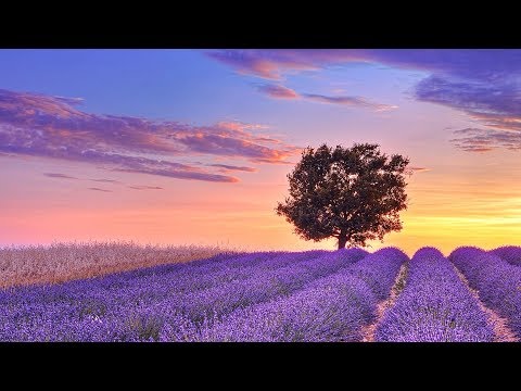 Relaxing Music for Stress Relief. Soothing Music for Sleep, Meditation, Spa - Популярные видеоролики!