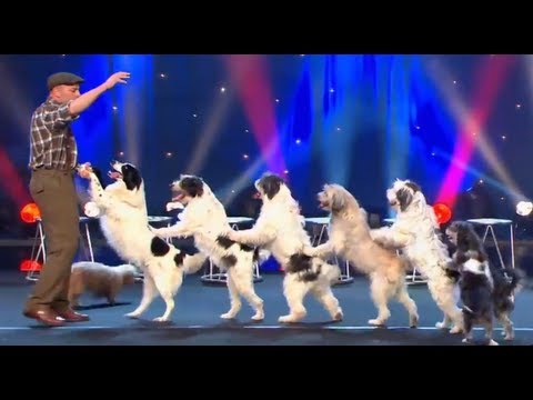 Wolfgang Lauenburger - Dressage de Chiens - Le Plus Grand Cabaret Du Monde - Популярные видеоролики!