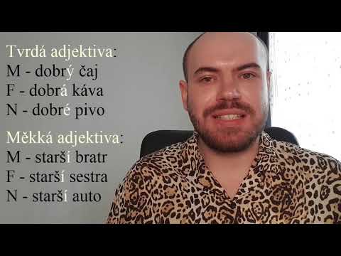 Частые ошибки в чешском #3 - Популярные видеоролики!