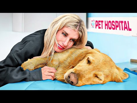 Birth To Death of My Dog *emotional* - Популярные видеоролики!