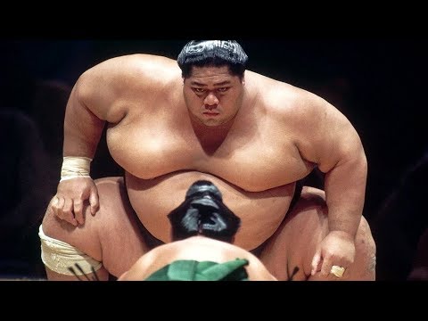 БОЙЦЫ СУМО. Как они живут и тренируются / Самый большой сумоист в истории. - Популярные видеоролики!