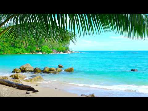 🌴 Tropical Beach Ambience on a Island in Thailand with Ocean Sounds For Relaxation & Holiday Feeling - Популярные видеоролики!
