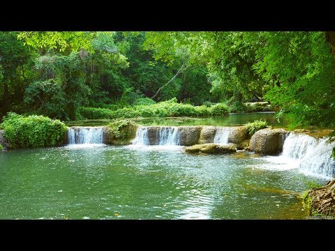 Zen Music and Calming Cascade Sound: Relaxation Sleep Meditation - Популярные видеоролики!