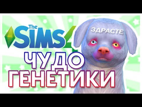 ЧУДО ГЕНЕТИКИ: Кошки и собаки / The Sims 4: Challenge - Популярные видеоролики!