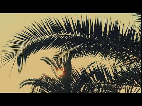 Palm leaves swaying in the sun. Free stock video. Full HD footage Free. Rec.709 1080p 60fps #18 - Популярные видеоролики!