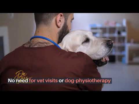 Pain Med For Dogs - Популярные видеоролики!