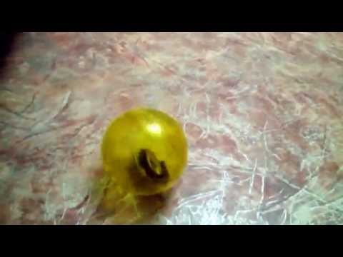 Прогулочный шар для джунгарского хомячка - Популярные видеоролики!