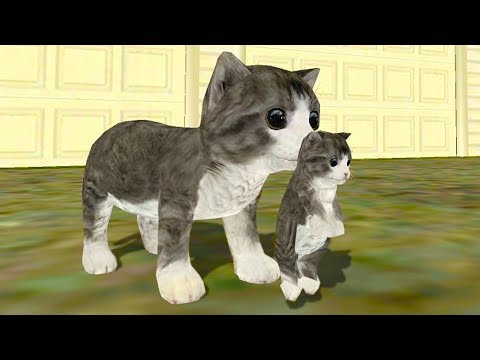 СИМУЛЯТОР Маленького КОТЕНКА #12 Сим кошки онлайн с Кидом на #ПУРУМЧАТА - Популярные видеоролики!