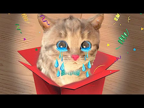 Animation Little Kitten friends Adventure - kindergarten learning Cartoon Learning Video for Kids - Популярные видеоролики!