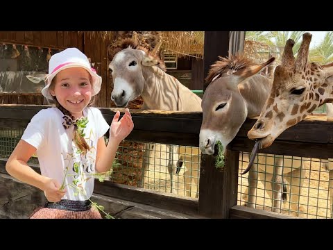 Веселое приключение Софии и папы в зоопарке с животными - Популярные видеоролики!