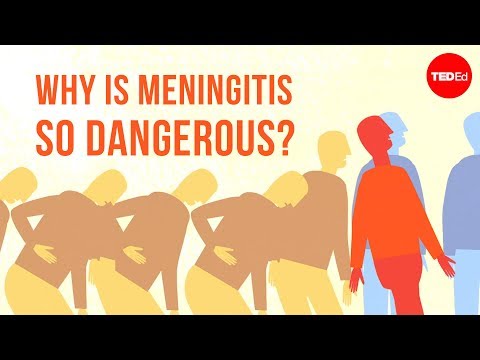 Why is meningitis so dangerous? - Melvin Sanicas - Популярные видеоролики!