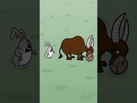 Заяц и бык #мультфильмы #анимации #прикол #животные - Популярные видеоролики!