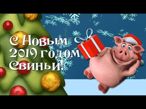 Поздравление с Новым 2019 годом Свиньи - Популярные видеоролики!