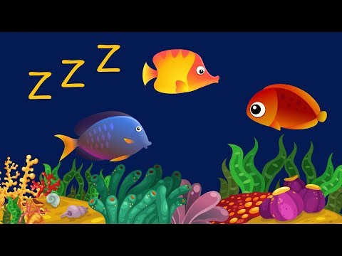 Bedtime Lullabies and Calming Undersea Animation: Baby Lullaby - Популярные видеоролики!