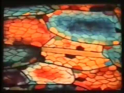 Рекристаллизация металлов и сплавов. Учебный фильм по материаловедению (1977) - Популярные видеоролики!