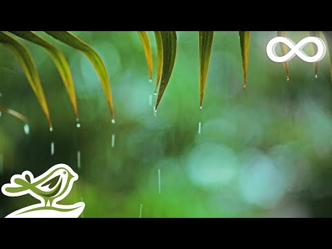 You & Me: Relaxing Piano Music & Soft Rain Sounds For Sleep & Relaxation by Peder B. Helland - Популярные видеоролики!