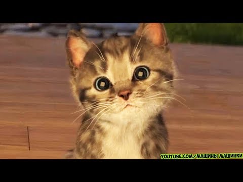 ПРИКЛЮЧЕНИЕ МАЛЕНЬКОГО КОТЕНКА - мультик для детей и малышей Little Kitten мультфильм про котят - Популярные видеоролики!