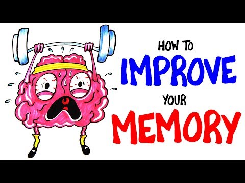 How To Improve Your Memory RIGHT NOW! - Популярные видеоролики!