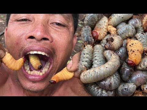 Primitive Culture: Amazing Man Find and Cooking Coconut Worms - Популярные видеоролики!