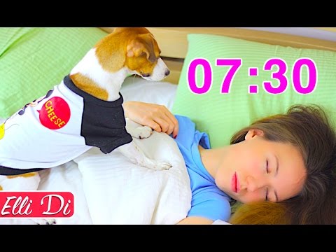 МОЁ УТРО И УТРО МОЕЙ СОБАКИ / MY MORNING ROUTINE with dog | Elli Di Pets - Популярные видеоролики!