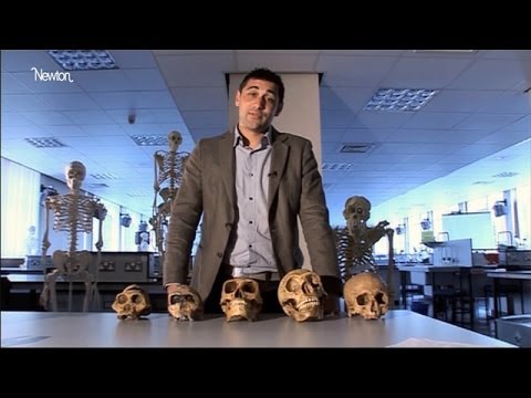 Creationism and evolution tackled head-on in science lessons | Guardian Investigations - Популярные видеоролики!