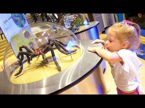 Детский музей науки - Развлечения для детей / Children's Museum Kids Pretend Play - Популярные видеоролики!
