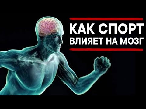 Как спорт влияет на мозг? Ася Казанцева на QWERTY - Популярные видеоролики!