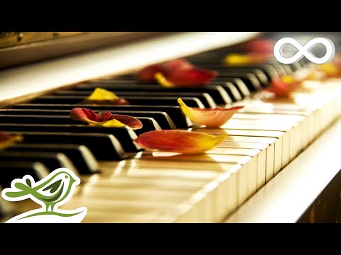Relaxing Piano Music: Sleep Music, Meditation Music, Soothing Music, Calming Music ★77 - Популярные видеоролики!