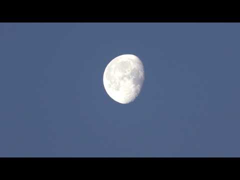 Луна/Moon 2021 7 28, 5:00 Lugansk - Популярные видеоролики!