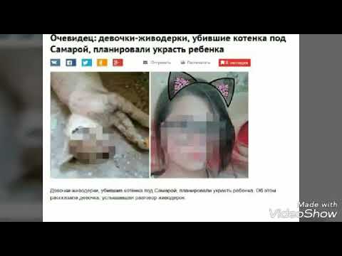 Sоs!!Самарские живодерки, убивали котят в прямом эфире!!!! Помогите найти белого котика!! - Популярные видеоролики!