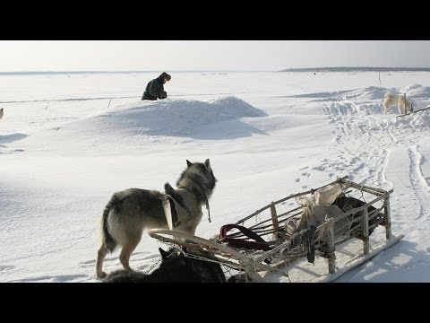 Счастливые люди | Енисей | Зима (серия 4) | Дмитрий Васюков - Популярные видеоролики!