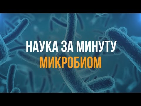 НАУКА ЗА МИНУТУ_Микробиом - Популярные видеоролики!