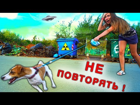 Мной управляет Собака Джина выгуливает меня Играем Крит | Elli Di Pets - Популярные видеоролики!
