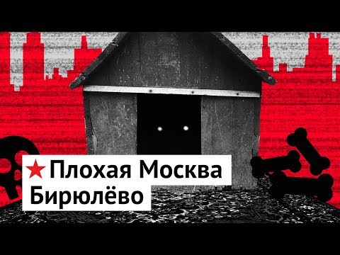 Бирюлёво: худший район Москвы - Популярные видеоролики!