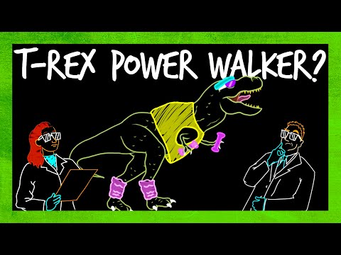 Was the T-Rex the First Dangerous Power Walker? - Популярные видеоролики!