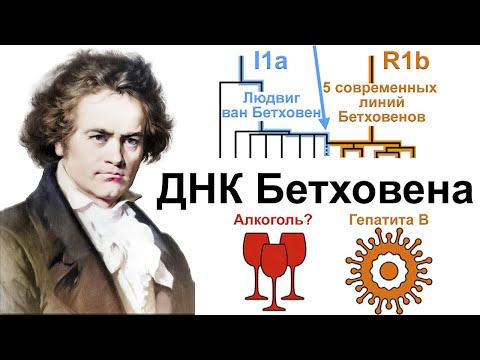 Генетический анализ волос Людвига ван Бетховена - Популярные видеоролики!