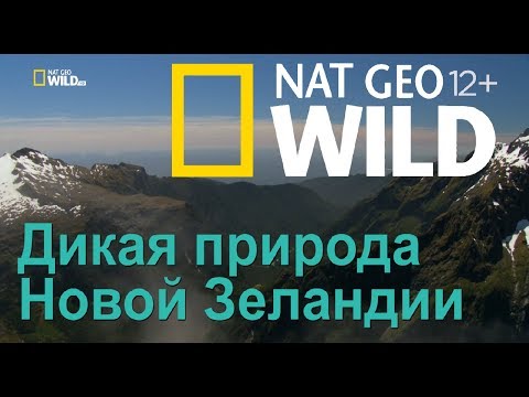 Nat Geo Wild: Дикая природа Новой Зеландии: затерянный рай / Wild New Zealand. Lost Paradise - Популярные видеоролики!